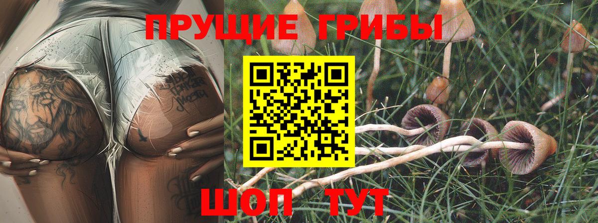 Татарск  Галлюциногенные грибы Magic Shrooms  Вход с VPN  Галлюциногенные грибы мухоморы 