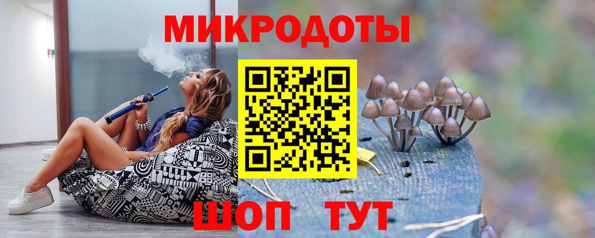 Галлюциногенные грибы Psilocybine cubensis Татарск